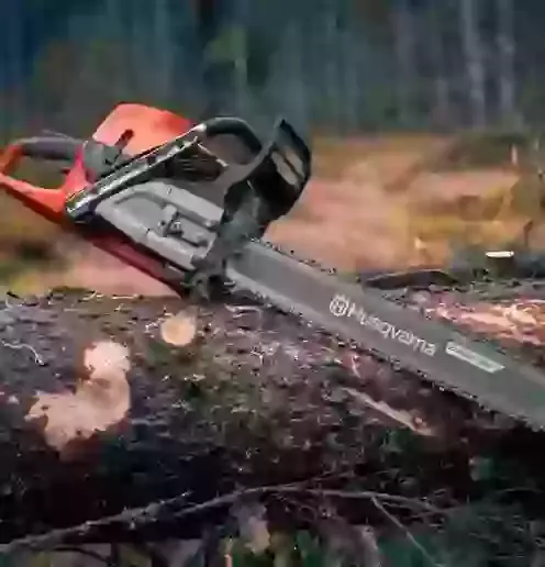 Sawing & Cutting